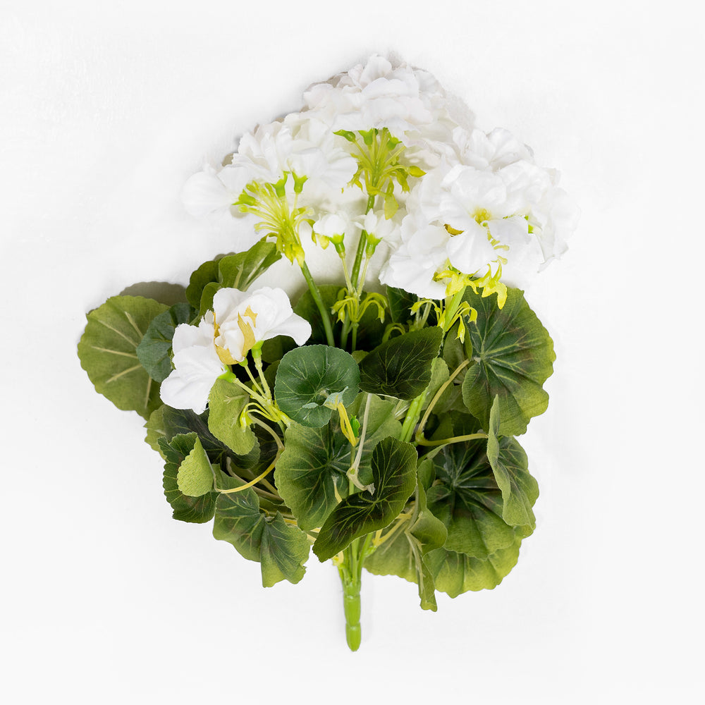 Bouquet of white flowers with green leaves on a white background