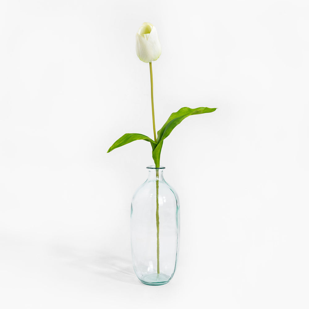 Clear glass vase with a single white tulip on a white background