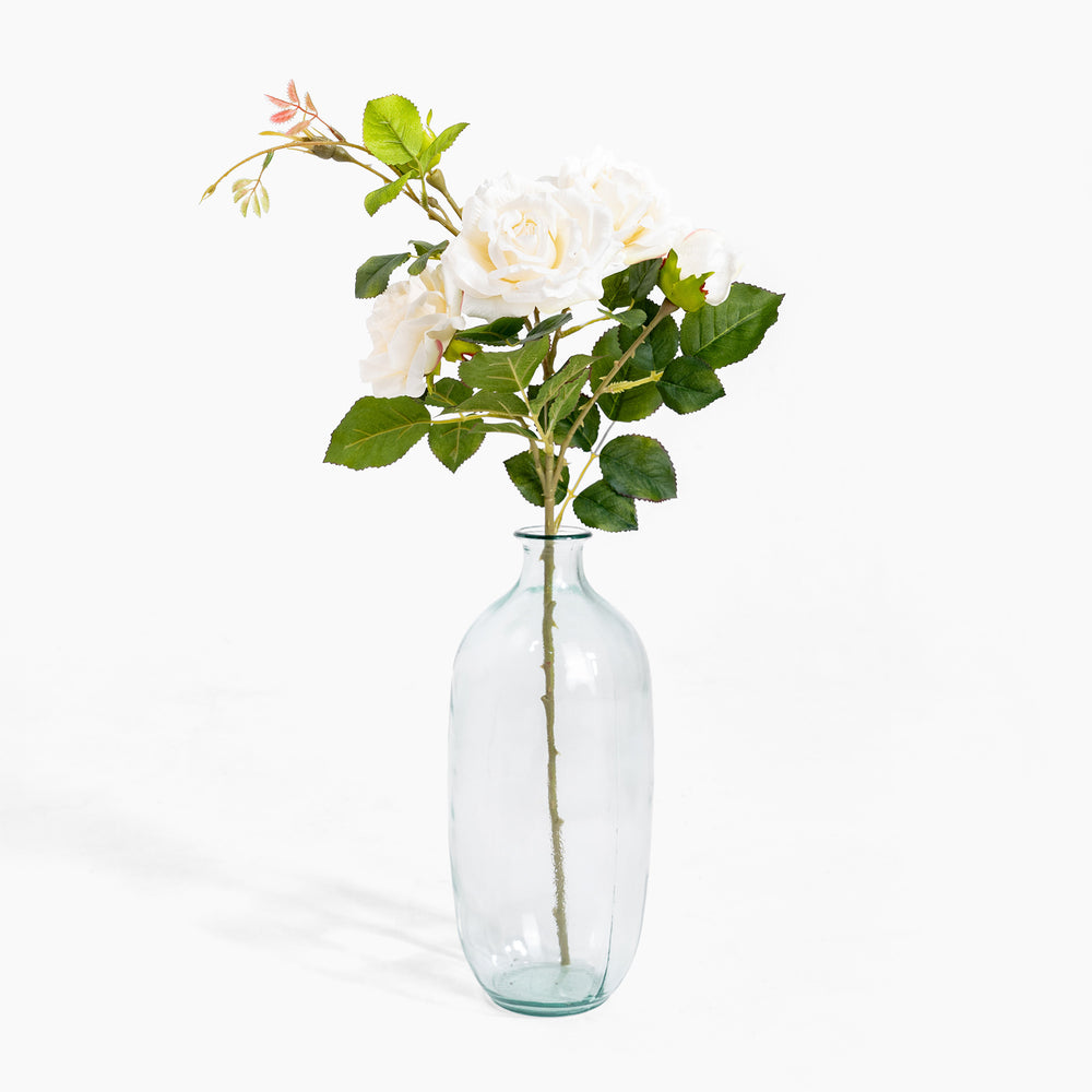Clear glass vase with a branch of white flowers on a white background