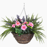 Hanging basket with pink flowers and green foliage on a white background