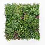 Square arrangement of various green plants on a white background