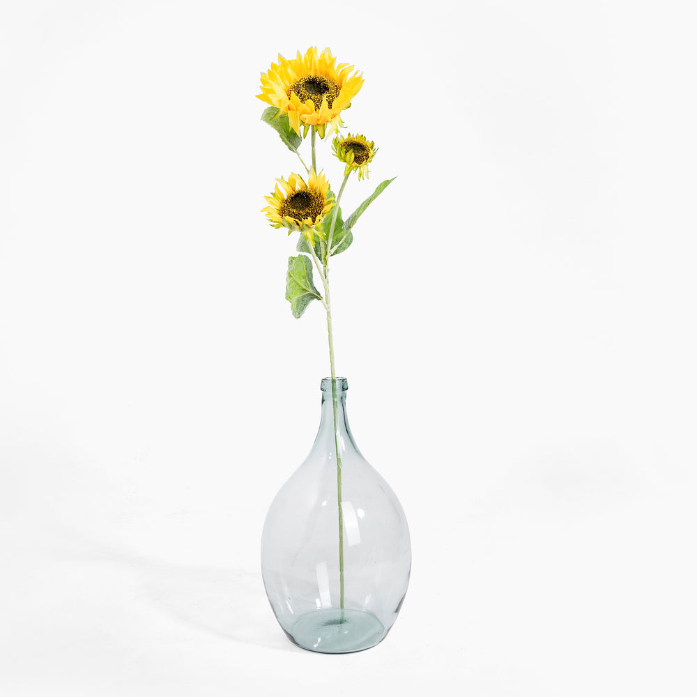 Clear glass vase with sunflowers on a white background