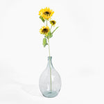 Clear glass vase with sunflowers on a white background
