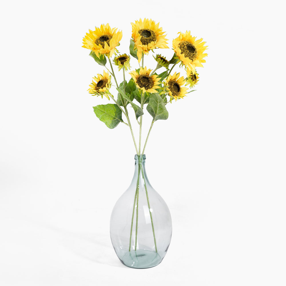 Clear glass vase with sunflower stems on a white background
