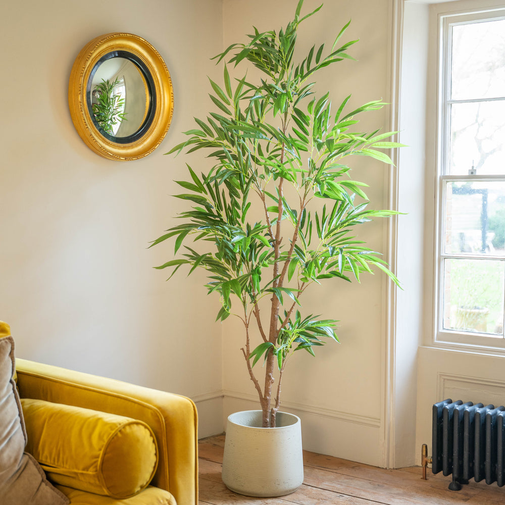 Living room with yellow sofa, potted plant, and decorative mirror.