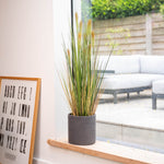 Potted glass plant on a windowsill with a framed alphabet poster next to it.