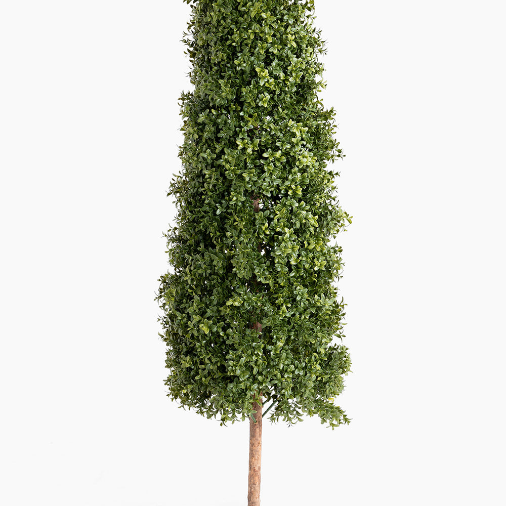 Artificial boxwood tree on a white background