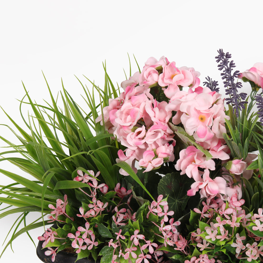 Mixed flower window box
