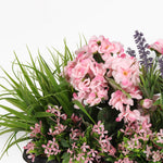 Mixed flower window box