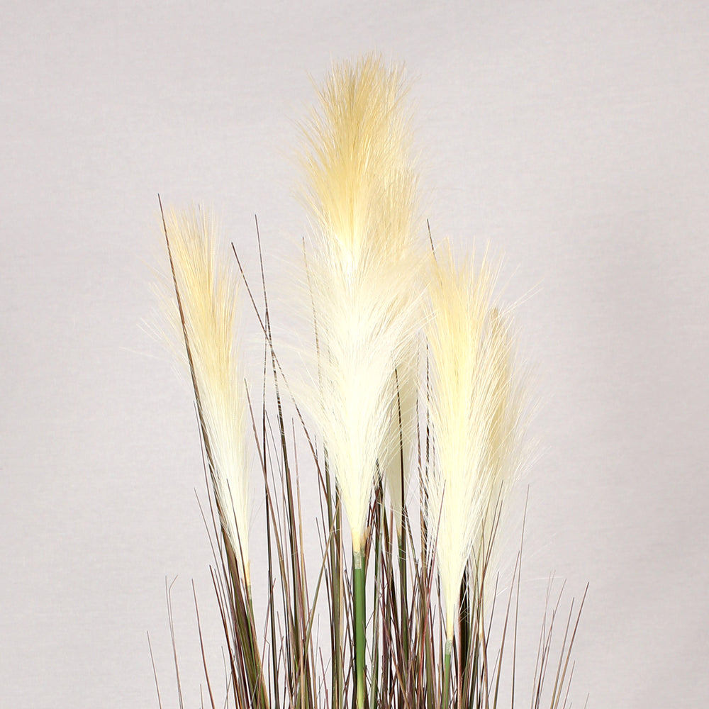 Close up of fluffy cream-colored artificial pampas grass plumes and thin brown stems, set against a plain background.