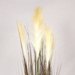 Close up of fluffy cream-colored artificial pampas grass plumes and thin brown stems, set against a plain background.