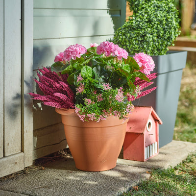 Potted plants with pink flowers and a birdhouse on a garden path.