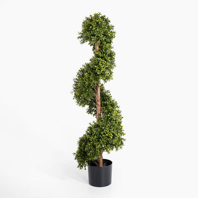 Boxwood spiral with stem