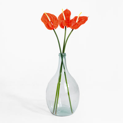 Clear glass vase with red flowers on a white background