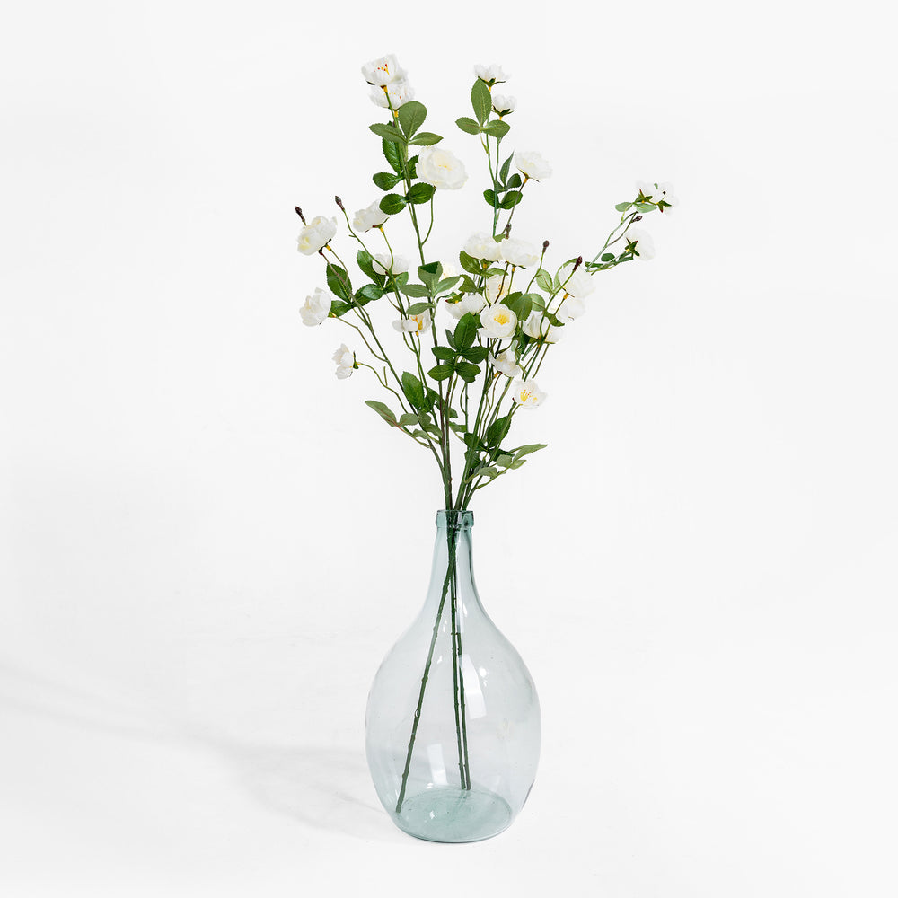 Clear glass vase with white flowers on a white background