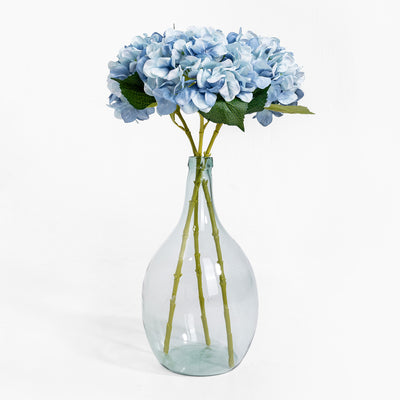 Clear glass vase with blue hydrangeas on a white background