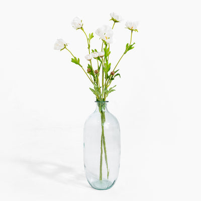 Clear glass vase with white flowers on a white background