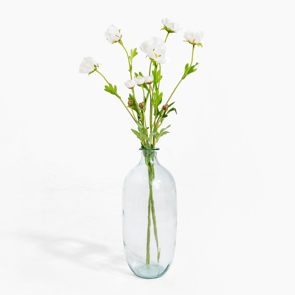Clear glass vase with white flowers on a white background