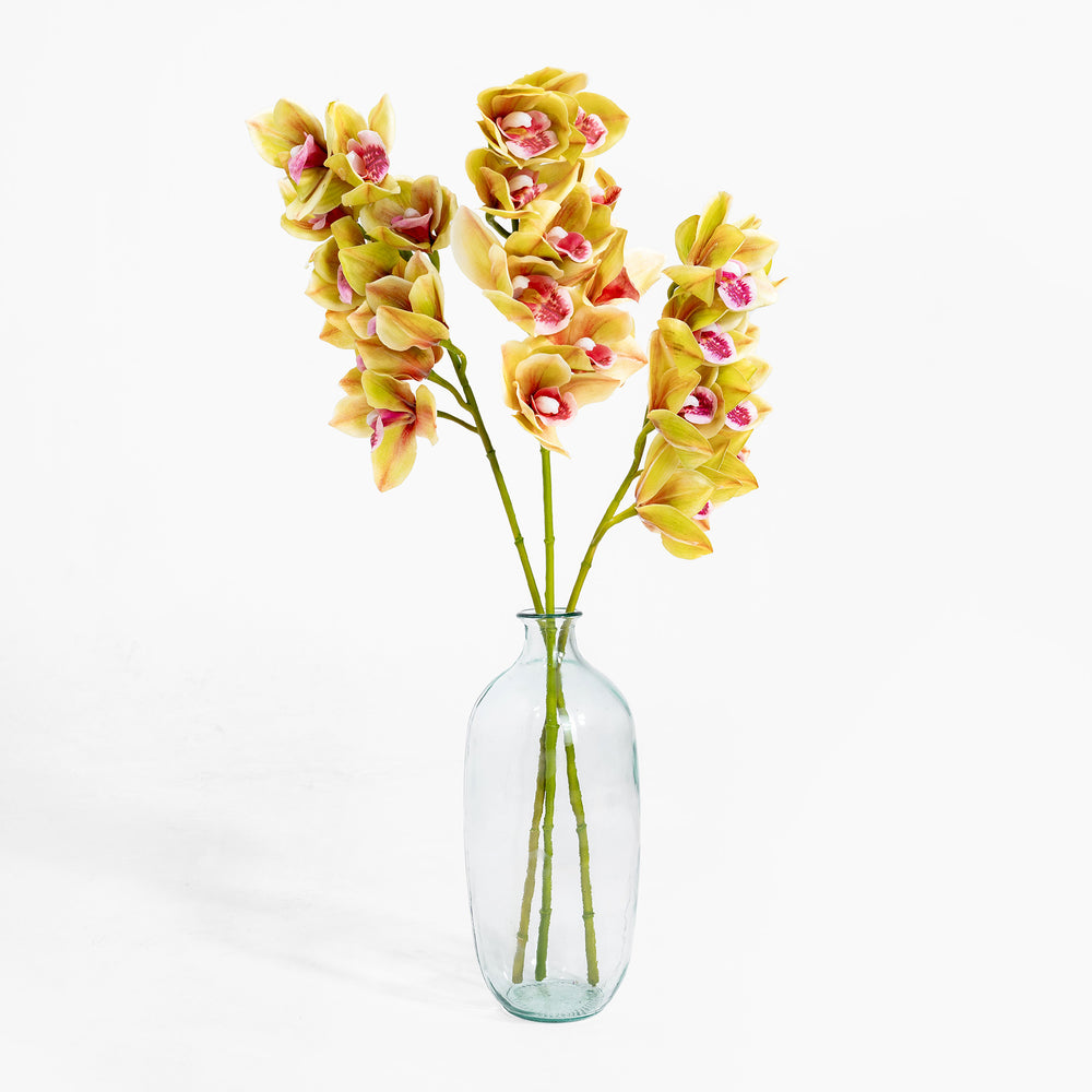 Yellow orchids in a clear glass vase on a white background