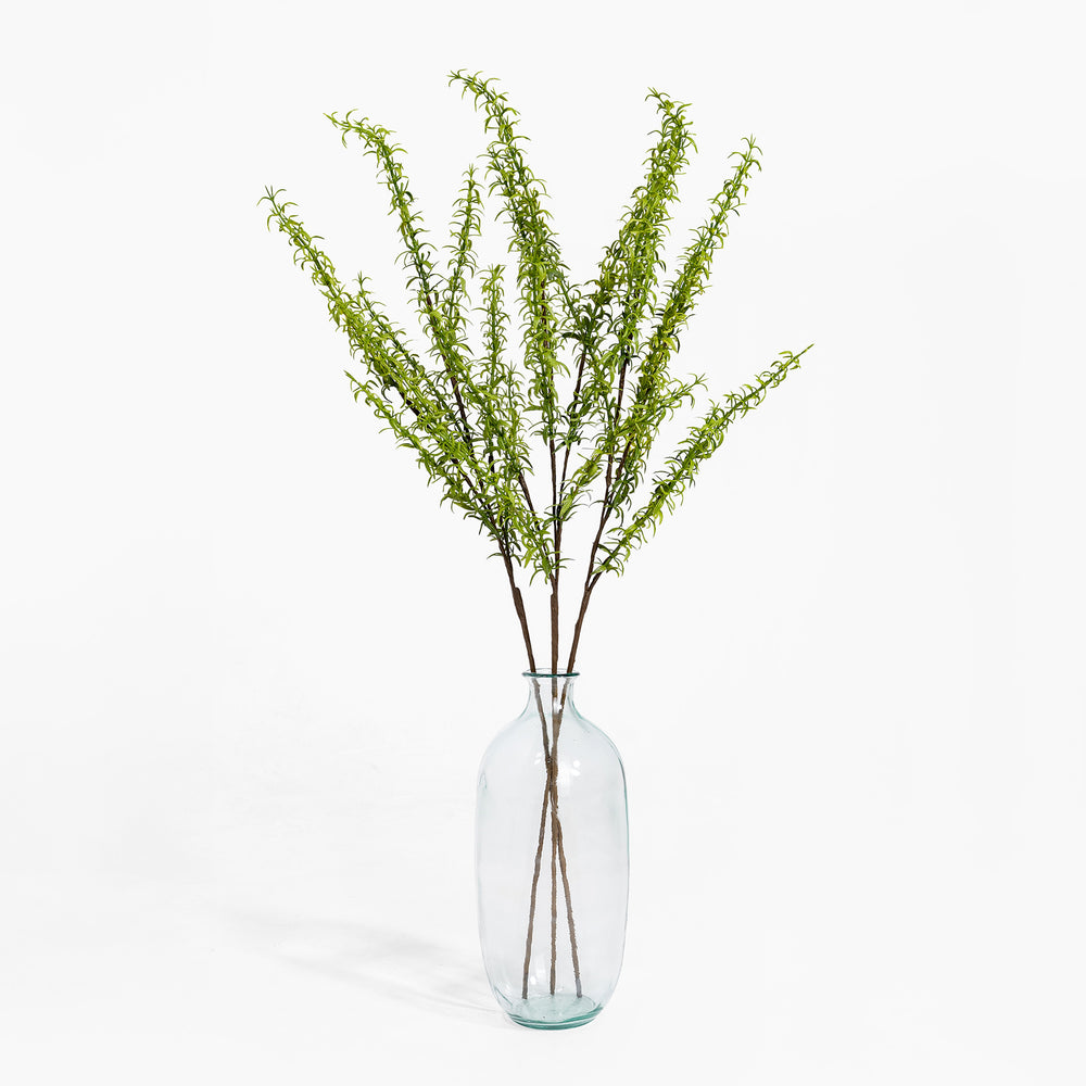 Clear glass vase with green branches on a white background