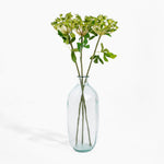 Clear glass vase with green stems on a white background