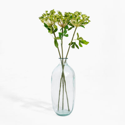 Clear glass vase with green stems on a white background