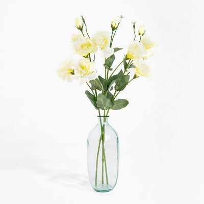 Clear glass vase with yellow flowers on a white background