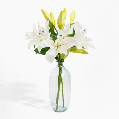 Clear glass vase with white lilies on a white background