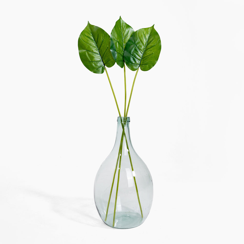 Clear glass vase with green leaves on a white background