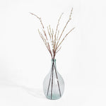 Clear glass vase with dried branches on a white background