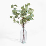 Clear glass vase with eucalyptus branches on a white background