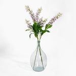 Clear glass vase with purple flowers on a white background