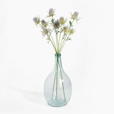 Clear glass vase with dried flowers on a white background