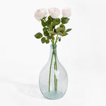 Clear glass vase with pink roses on a white background