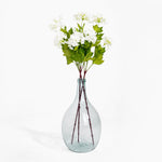 Clear glass vase with white flowers and green leaves on a white background