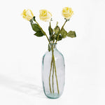 Clear glass vase with yellow roses on a white background