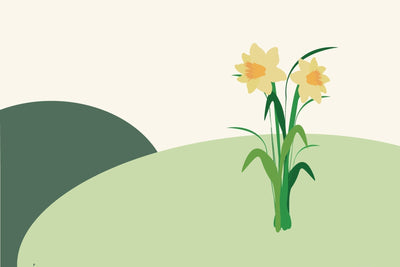 March birth flowers & what they symbolise