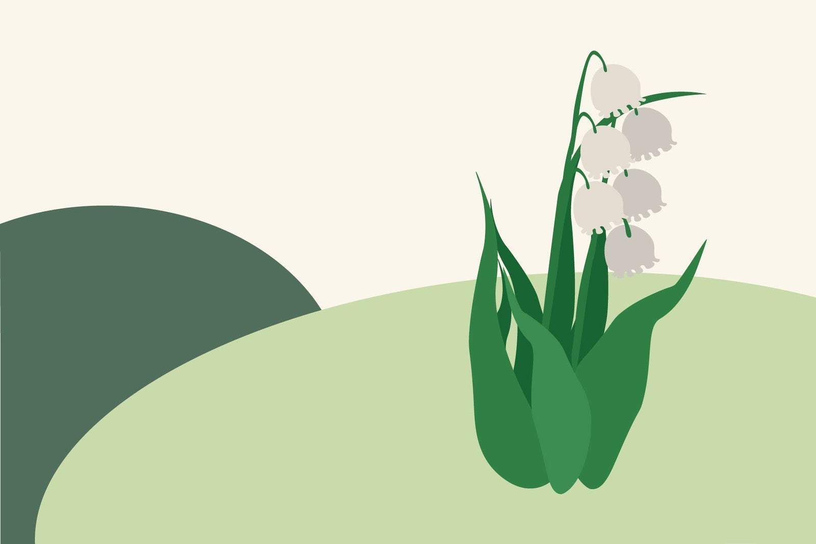 May birth flowers & what they symbolise