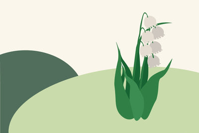 May birth flowers & what they symbolise
