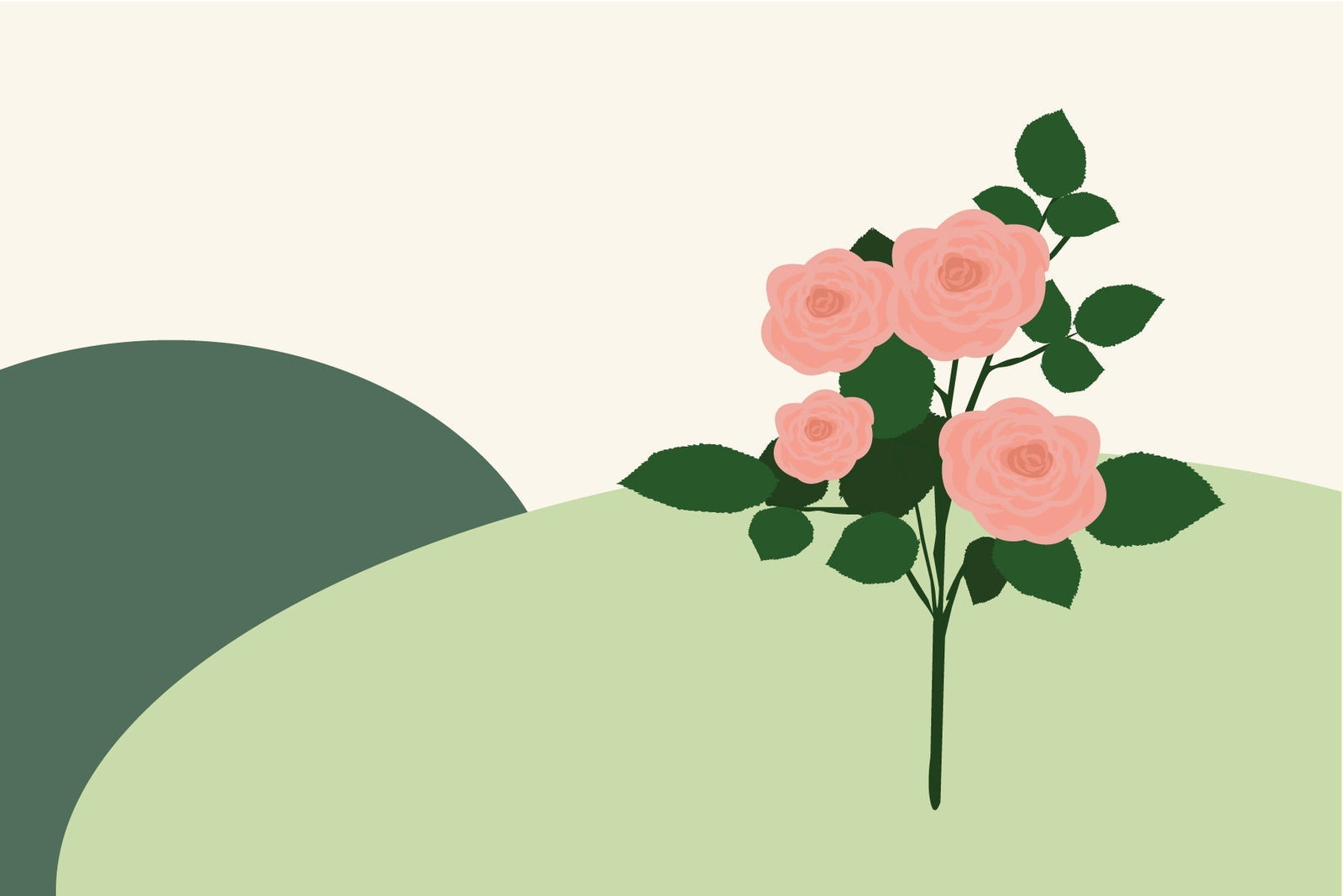 June birth flowers & what they symbolise