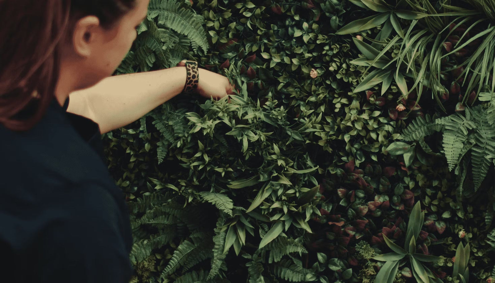 How to make an artificial living wall