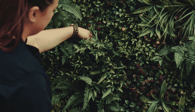 How to make an artificial living wall