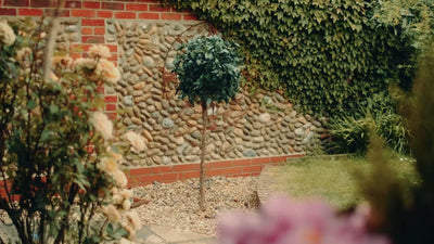 Are artificial trees safe? Your questions answered