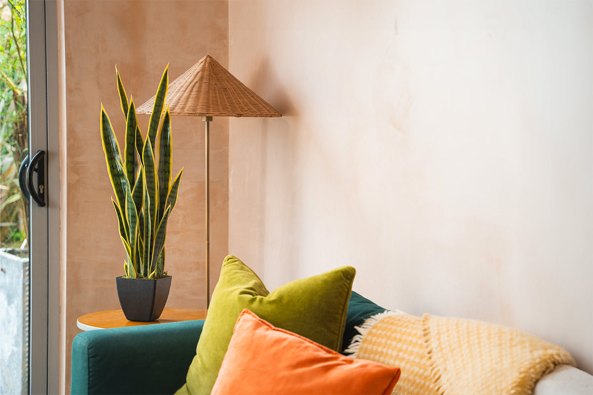 7 common houseplants toxic to dogs (& pet-safe alternatives)