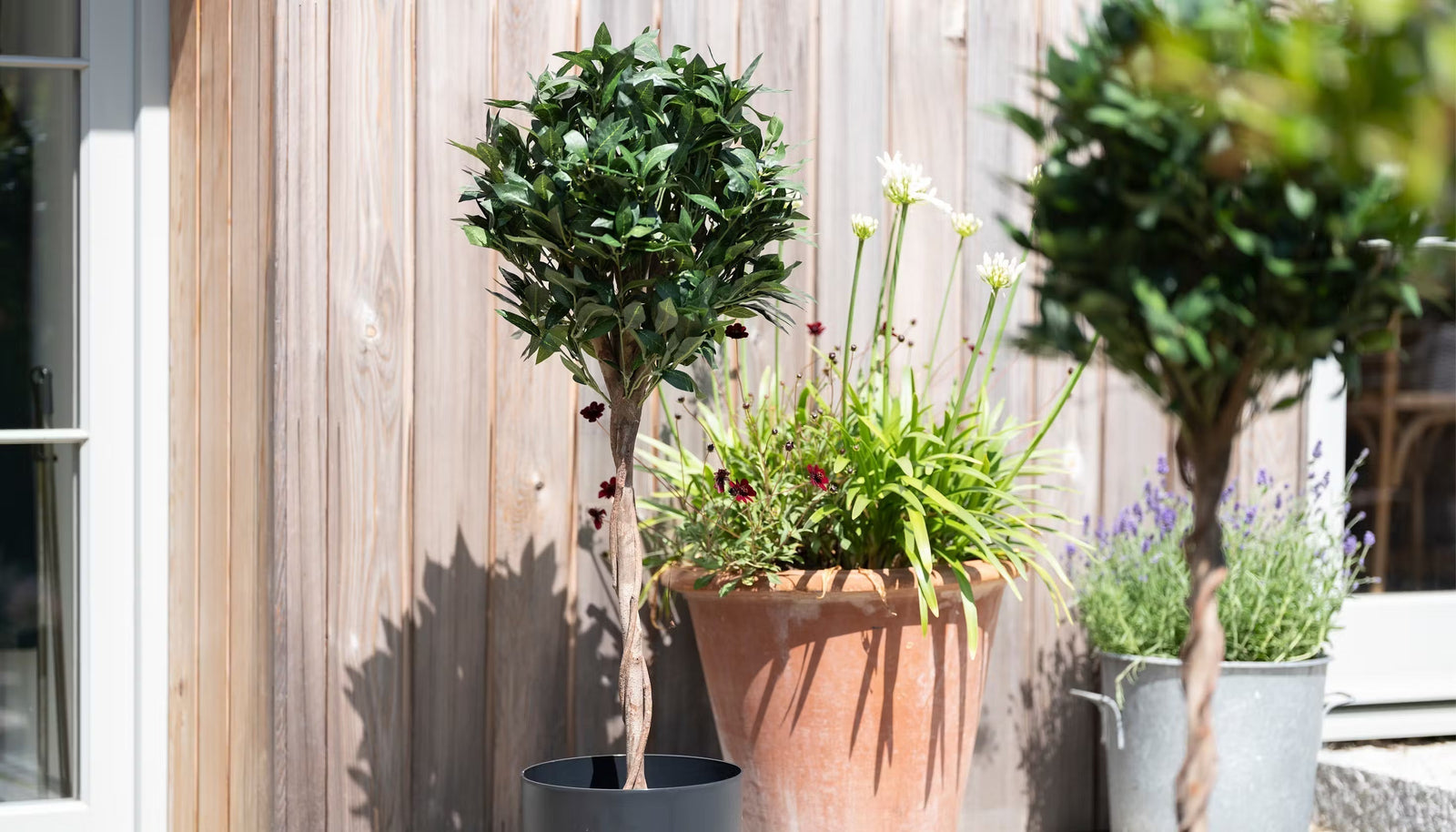 Bay tree review - Blooming Artificial vs. the competition