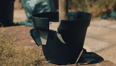 How to repair artificial plants with damaged pots