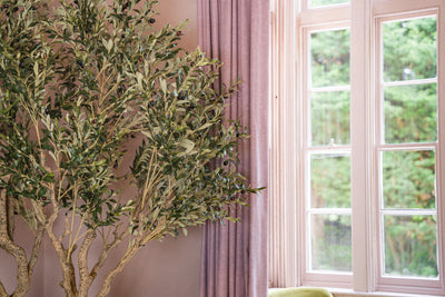6 expert styling tips for styling artificial olive trees