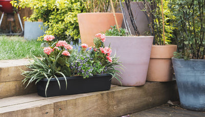 The cost of Britain’s gardens