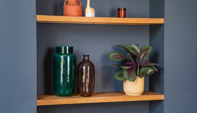 Real vs artificial plants: Why go faux?