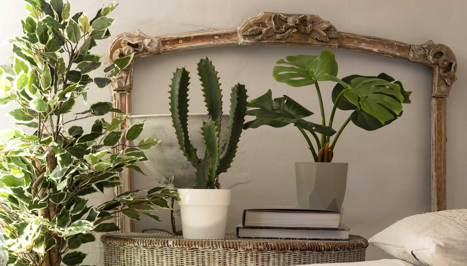 The top 10 houseplants & flowers taking over this spring